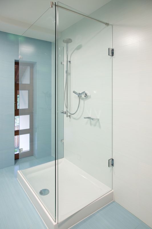 Contemporary Frameless Shower